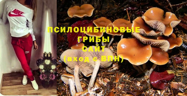 дживик Арсеньев